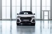 Audi Q3 Sportback 2019 - 2020