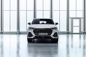 Audi Q3 Sportback 2019 - 2020