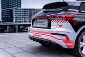 Audi Q4 e-tron 2021 - present