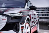 Audi Q4 e-tron 2021 - present