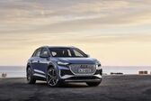 Audi Q4 e-tron 35 55 kWh (170 Hp) 2021 - present