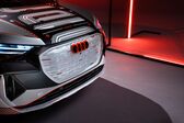 Audi Q4 e-tron 2021 - present