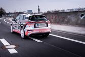 Audi Q4 e-tron 35 55 kWh (170 Hp) 2021 - present