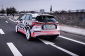 Audi Q4 e-tron 2021 - present