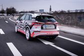 Audi Q4 e-tron 35 55 kWh (170 Hp) 2021 - present