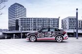 Audi Q4 e-tron 2021 - present