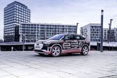 Audi Q4 e-tron 35 55 kWh (170 Hp) 2021 - present