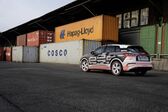 Audi Q4 e-tron 2021 - present