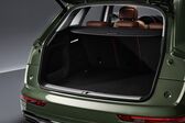 Audi Q5 II (facelift 2020) 35 TDI (163 Hp) S tronic 2020 - present