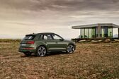 Audi Q5 II (facelift 2020) 50 TDI V6 (286 Hp) MHEV quattro tiptronic 2020 - present