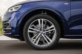 Audi Q5 II 2.0 TDI (163 Hp) quattro S tronic 2016 - 2018