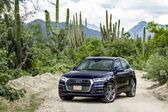 Audi Q5 II 50 TDI (286 Hp) quattro Tiptronic 2019 - 2020