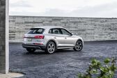 Audi Q5 II 40 TDI (190 Hp) quattro S tronic 2019 - 2020