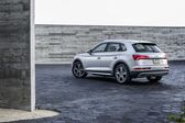 Audi Q5 II 50 TDI (286 Hp) quattro Tiptronic 2019 - 2020