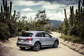 Audi Q5 II 40 TDI (190 Hp) quattro S tronic 2019 - 2020