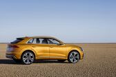 Audi Q8 2018 - present