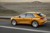 Audi Q8 55 TFSI V6 (340 Hp) quattro MHEV Tiptronic 2019 - present