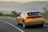 Audi Q8 2018 - present