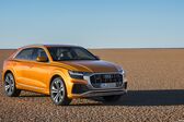 Audi Q8 2018 - present