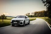 Audi Q8 2018 - present