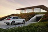 Audi Q8 55 TFSI V6 (340 Hp) quattro MHEV Tiptronic 2019 - present