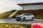 Audi Q8 55 TFSI V6 (340 Hp) quattro MHEV Tiptronic 2019 - present