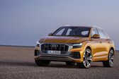 Audi Q8 55 TFSI V6 (340 Hp) quattro MHEV Tiptronic 2019 - present