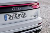 Audi Q8 55 TFSI V6 (340 Hp) quattro MHEV Tiptronic 2019 - present