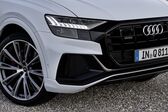 Audi Q8 55 TFSI V6 (340 Hp) quattro MHEV Tiptronic 2019 - present