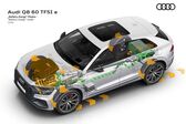 Audi Q8 55 TFSI V6 (340 Hp) quattro MHEV Tiptronic 2019 - present