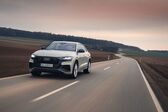 Audi Q8 55 TFSI V6 (340 Hp) quattro MHEV Tiptronic 2019 - present