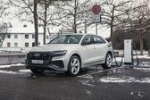 Audi Q8 55 TFSI V6 (340 Hp) quattro MHEV Tiptronic 2019 - present