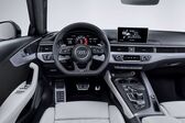 Audi RS 4 Avant (B9) 2017 - 2019