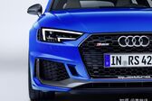 Audi RS 4 Avant (B9) 2017 - 2019