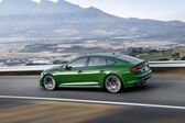 Audi RS 5 Sportback (F5) 2019 - 2019