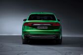 Audi RS Q8 2019 - present