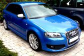 Audi S3 (8P) 2.0 TFSI (265 Hp) quattro 2006 - 2008