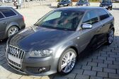 Audi S3 (8P) 2.0 TFSI (265 Hp) quattro 2006 - 2008