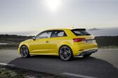 Audi S3 (8V facelift 2016) 2016 - 2018