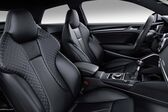 Audi S3 (8V facelift 2016) 2.0 TFSI (310 Hp) quattro 2016 - 2018