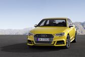 Audi S3 (8V facelift 2016) 2.0 TFSI (310 Hp) quattro 2016 - 2018