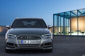 Audi S3 Sportback (8V facelift 2016) 2016 - 2020