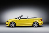 Audi S3 Cabriolet (8V facelift 2016) 2.0 TFSI (310 Hp) quattro S tronic 2016 - present