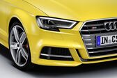 Audi S3 Cabriolet (8V facelift 2016) 2.0 TFSI (310 Hp) quattro S tronic 2016 - present