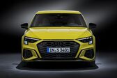 Audi S3 Sportback (8Y) 2.0 TFSI (310 Hp) quattro S tronic 2020 - present