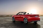 Audi S3 Cabriolet (8V) 2014 - 2016