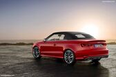 Audi S3 Cabriolet (8V) 2.0 TFSI (300 Hp) quattro S tronic 2014 - 2016