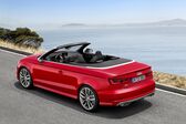 Audi S3 Cabriolet (8V) 2014 - 2016