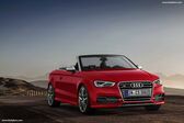 Audi S3 Cabriolet (8V) 2014 - 2016