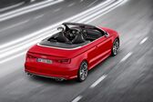 Audi S3 Cabriolet (8V) 2014 - 2016